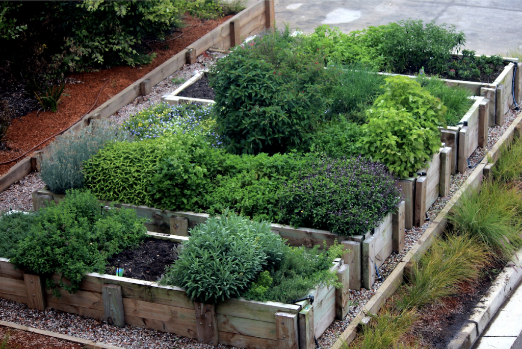 Kitchen garden