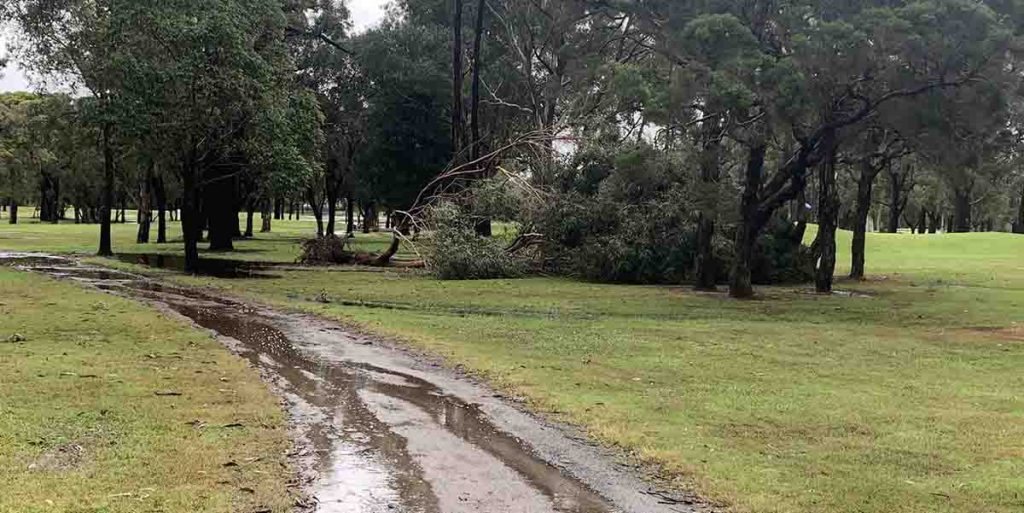 Bankstown Golf Club flood damage. Image FaceBook